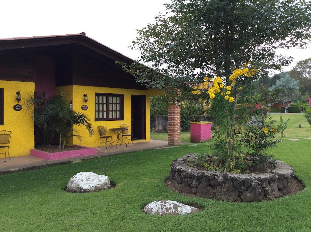 Cabanas La Chicharra Xico Room photo